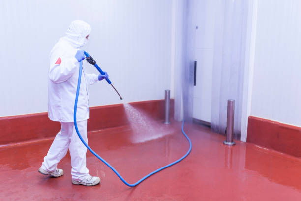 Best Dumpster Area Cleaning  in Swepsonville, NC