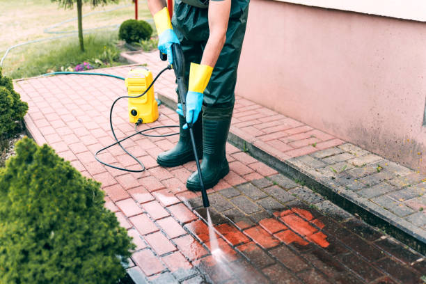 Best Solar Panel Cleaning  in Swepsonville, NC